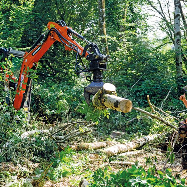 Arboriculture Thumbnail